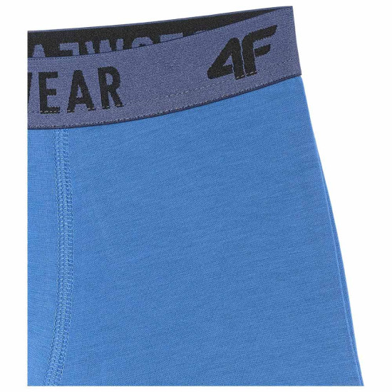 4F Ανδρικό εσώρουχο boxer 3-Pack